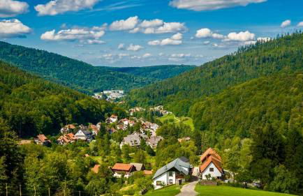 Black Forest Retreat Bad Herrenalb - Foto 28