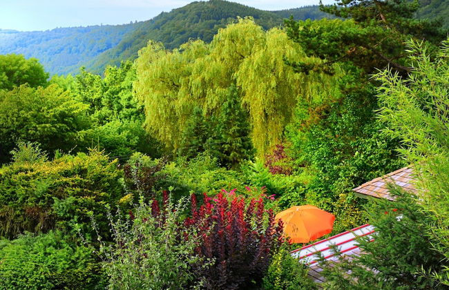 Vintage Chalet in Sougné-Remouchamps near Forest - Photo 32