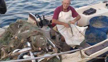 Apartment Mustapic - Foto 2