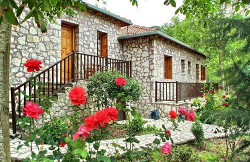 Andrea Sofi Guesthouse - Photo 62