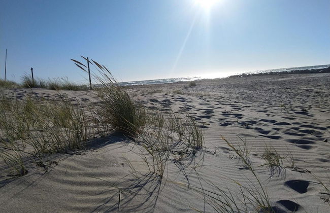 6 Person Holiday Home in Melby - Foto 20