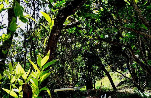 La casita del Lagar - Foto 18