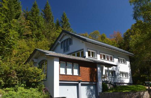 Schwarzwaldhimmel - Foto 1