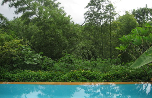 Teakwood Villa - Photo 13