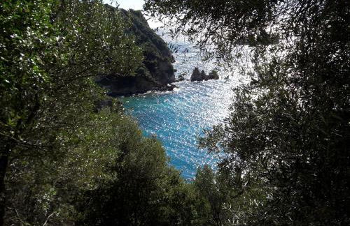 Matsas House & Studio - Foto 44