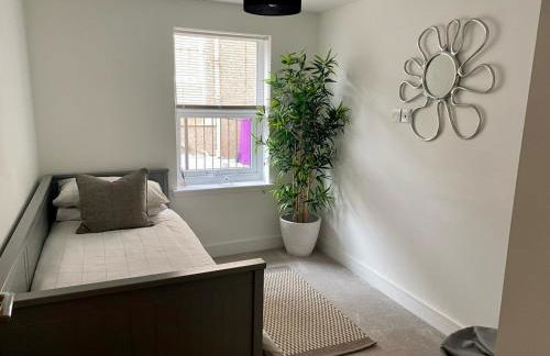 Modern 2 bedroom Flat in Montrose - Photo 4