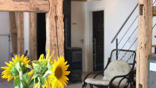 Ferienhaus Paradiso - Foto 4