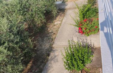 Apartmani Dubravko - Foto 14