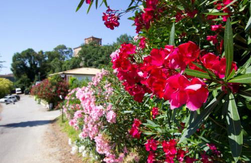 Valle dell'Eden Appartamenti - Foto 35