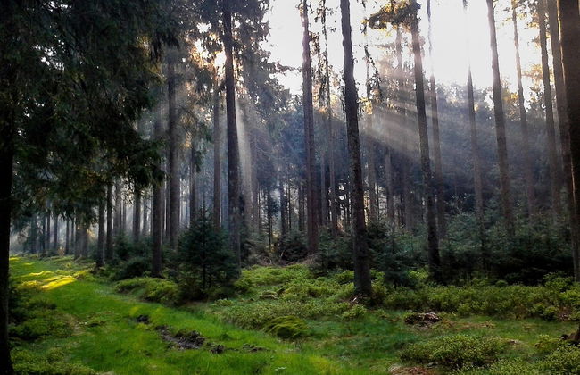 Holiday Home in Bullange With Sauna - Foto 43