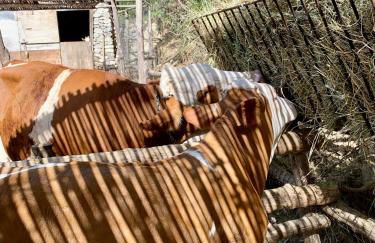 Il Giardino Dorato - Foto 7