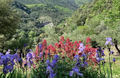 Villa near Les Vans with Private Pool - Foto 33