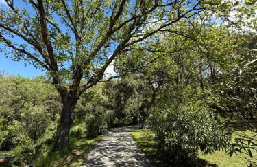 Le Mouron Rouge - Foto 18