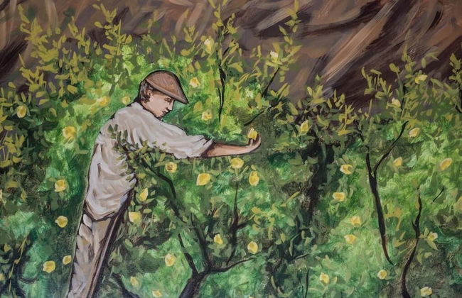 Valle Lumia - Foto 38