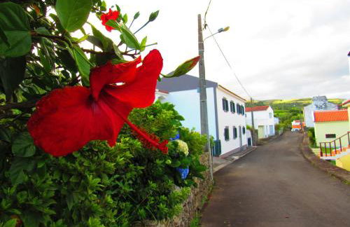 Casa L&M - Refúgio com Horta Biológica Certificada - Foto 3
