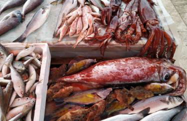 Aspra al delfino blu - Foto 35