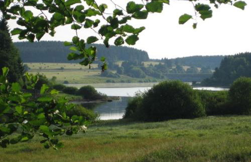 Ferienhaus mit Wellnessbereich in Elend - Foto 32