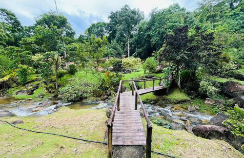 Sitio Bengala - Refúgio das Águas e Mata Nativa - Foto 3