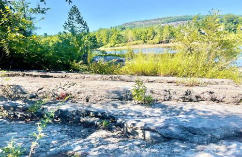 Charming Milford Montague Riverway Cottage - Foto 6