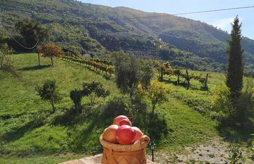 Agriturismo I Melograni - Foto 15