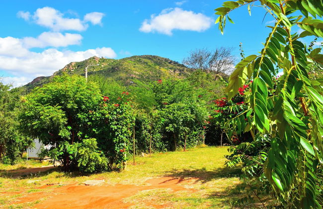 Boma Simba Lodge - Foto 34