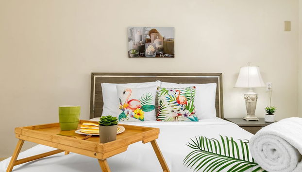 House of Joy Palapa Pool Near Eagle Beach - Foto 3, Habitación