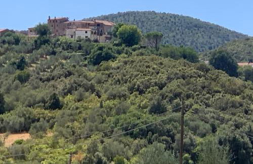 Casa antica Maremma Toscana - Foto 39