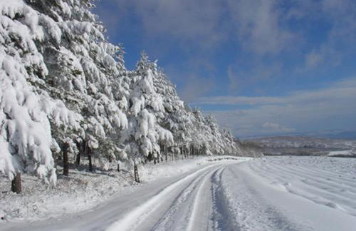 Quinta dos Castanheiros - Turismo Rural - Foto 75