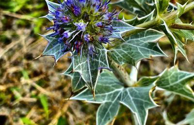 Le Chalet de Kervignon - Foto 30