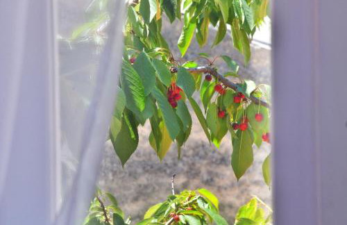 Casa Nini Mer - charming stone house with yard near Pula - Foto 38