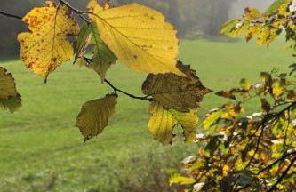 Apartment Gartenblick by Interhome - Foto 36