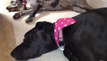 Watchet Cottage - Photo 4