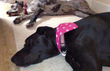 Watchet Cottage - Photo 4