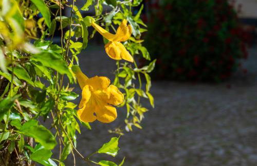 Agriturismo Baglio Fontana - Foto 42