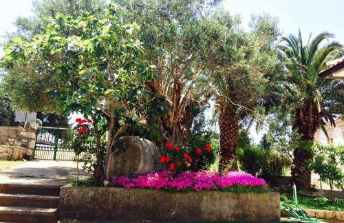 Apartmani Marko - Photo 5