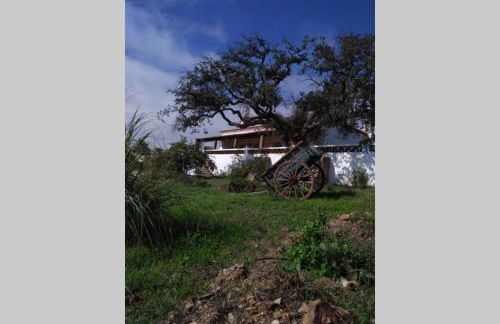 Aproveite o sabor do Alentejo - Foto 6