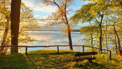 Kleine Ferienoase am Plauer See - Foto 1