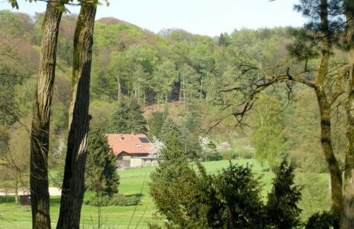 Ferienwohnung auf dem Golfplatz Tecklenburger Land - Foto 8