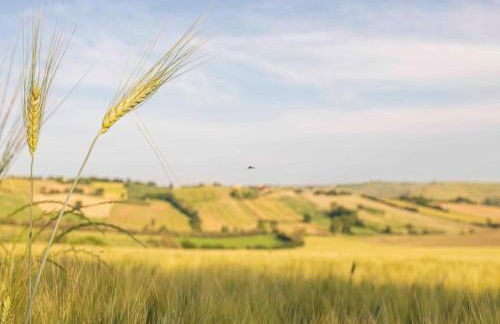 Inviting Holiday Home in San Costanzo With Swimming Pool - Foto 18