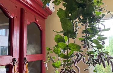 Wiejska chatka - Foto 1