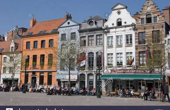 Large Charming Duplex Brussels Historical Center - Foto 20