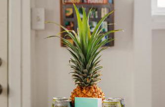 NEW - Pineapple Loft - Entire House Downtown Hilo with AC - Foto 23