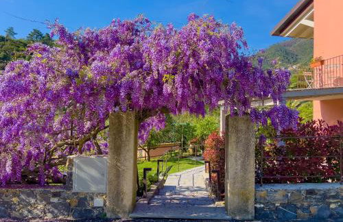 La Casa dei Glicini - Foto 66