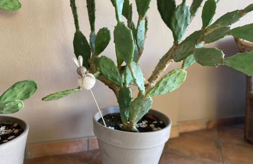 Valentina’s home - Foto 16