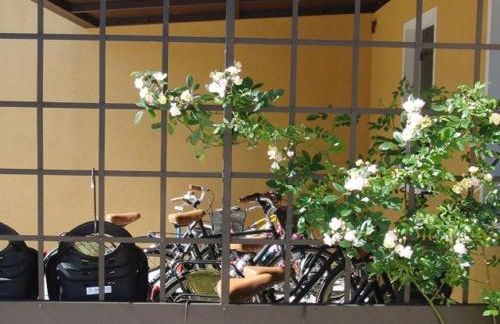 Particolari del Brenta - Photo 35