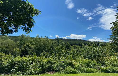 Kirkton Cottage whole house in Cairnie Aberdeenshire - Photo 21