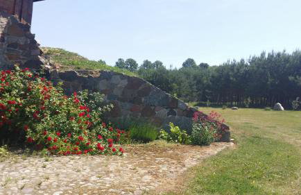 Mazurska Knieja - Foto 12