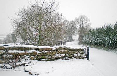 Thornsdale Oast House - Foto 9