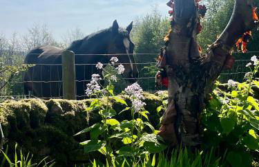 Summer Cottage in Onecote - Foto 14