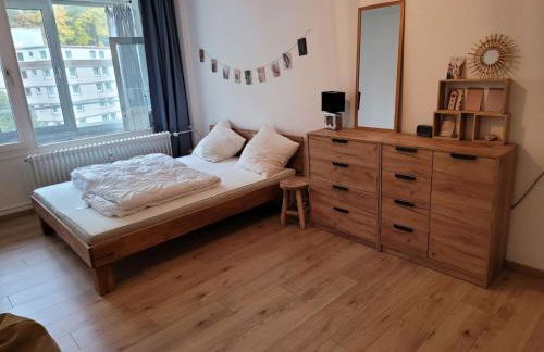 Ferienwohnung HarzHome - Foto 12